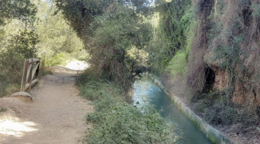 5 EXCURSIONES para hacer con niños en Castellón