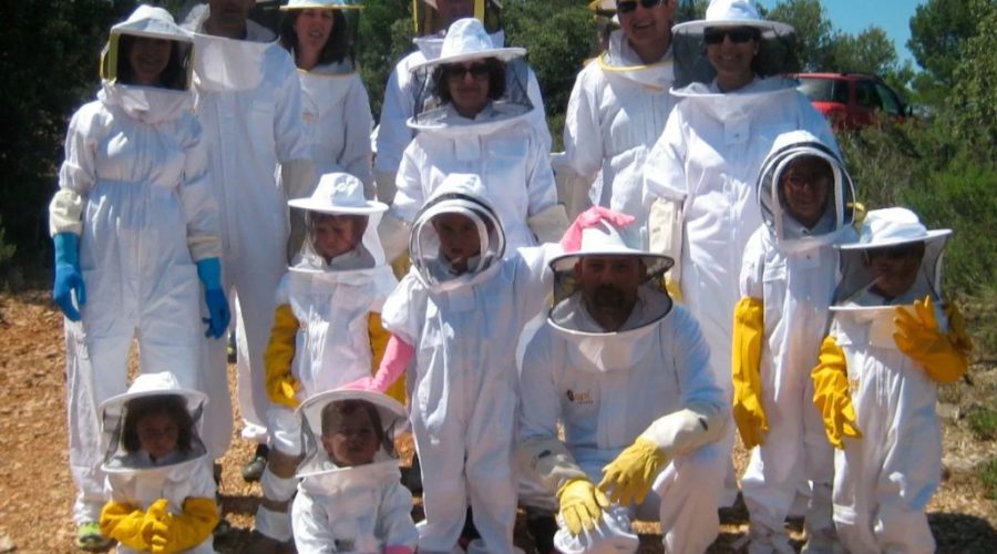 Conviértete en apicultor por un día con APIVILLORES