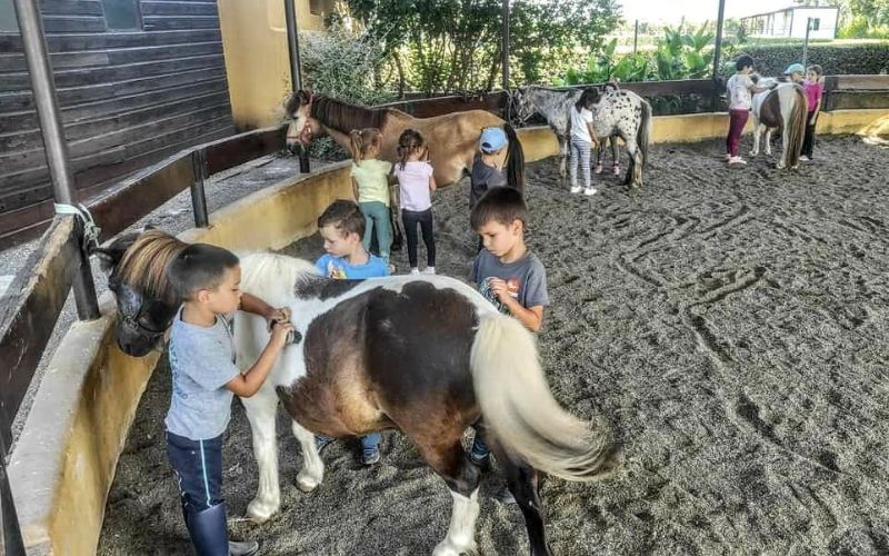 escuela de verano poni club ciutat de castello
