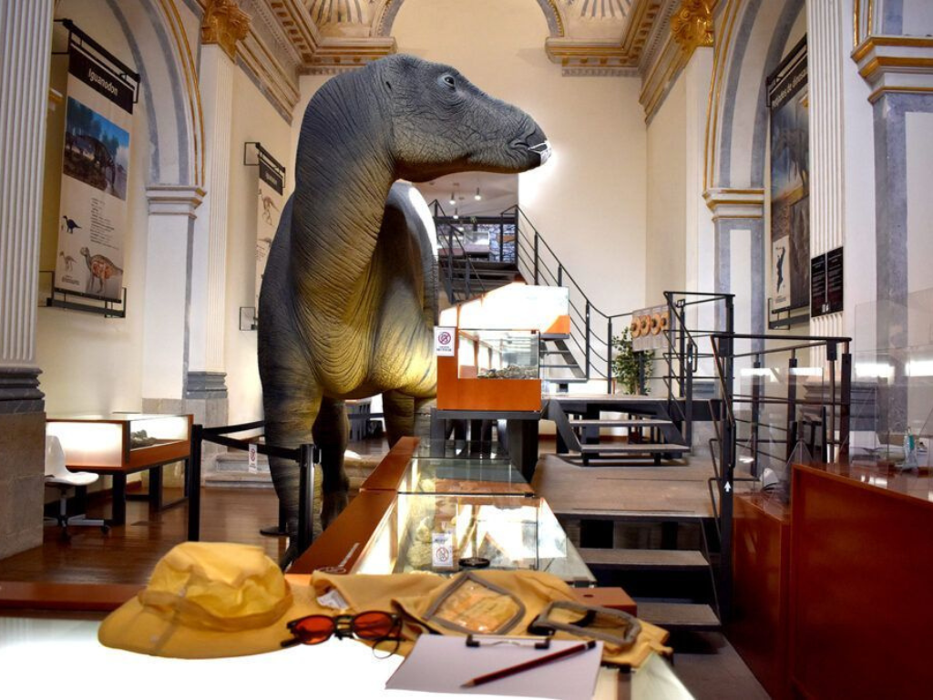 museo tiempo de dinosaurios morella