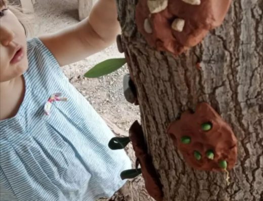 A l’estiu Art Joc i Moviment a LlarNatura